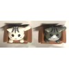 Unbranded #CM Cat Pair In Boxes Pet Love Cute Kitten