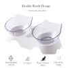 Double Dog Cat Bowls Anti Vomiting, Elevated Cat Food Water