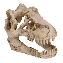 2Pcs Aquarium Decoration Small Resin Dinosaur Skull Skeleton Fish Tank Aquarium Aquarium Cave Pet Reptile House Decoration