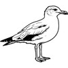 'British Seagull' Rubber Stamp - Unmounted Design for Crafting &