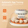 Egg Incubator with Temperature and Humidity Control, Automatic Egg Turner,