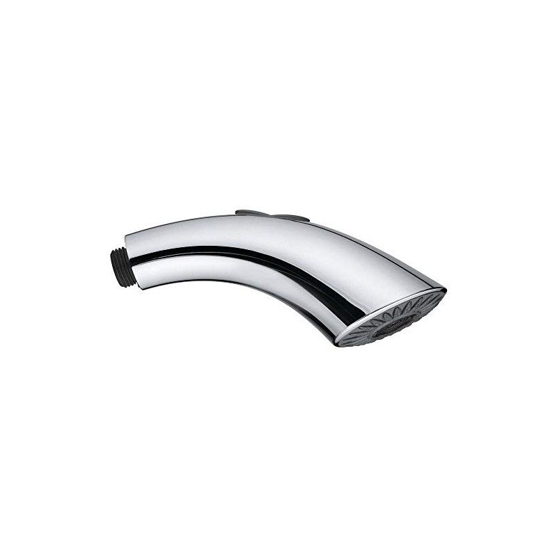 Grohe 46575000 Replacement Shower