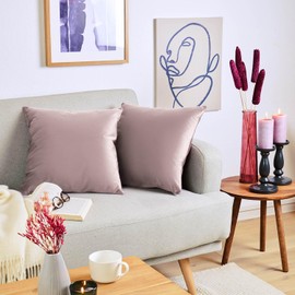 Blumtal Set of 2 Soft Velvet Cushion Covers, 45 x 45 cm, Elegant Velvet Pillowcases, Elderberry Purple