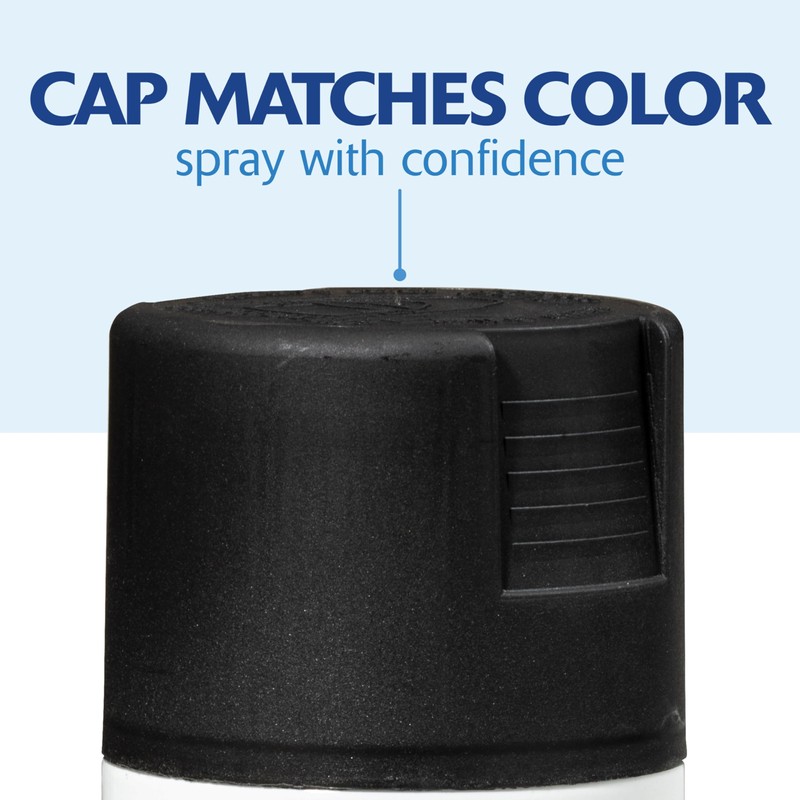 Rust-Oleum 331182-6PK Painter's Touch 2X Ultra Cover Spray Paint, 12