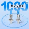 H1 Halogen Headlight Bulb - 12V 55W H1 Halogen Headlamp