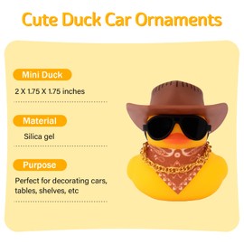 wonuu Car Decorations Stripe Cowboy Hat Rubber Ducks, Dashboard Rubber Ducky for Car Ornament Cute Duck with Hat, Glasses, Necklace, Scarf, Brown