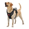 Tuff Pupper Anti Pull Heavy Duty Dog Harness, Easy Walk