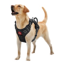 Tuff Pupper Anti Pull Heavy Duty Dog Harness, Easy Walk Front & Back Leash Clips, Strong Safety Handle, Reflective Vest, Comfortable Padded Training Harness, Small Medium Large Dogs (Large, Black)