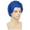 Salaibs Men's Blue Short Straight Wig Anime Synthetic Fibre Cosplay