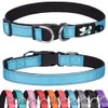 Haoyueer Padded Dog Collar Reflective Dog Collars for Small, Medium