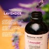 Majestic Pure Lavender Oil, Natural, Therapeutic Grade, Premium Quality Blend