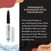 cargo SWIMMABLES Longwear Eye Shadow Stick Paradise Bay .03 Oz.