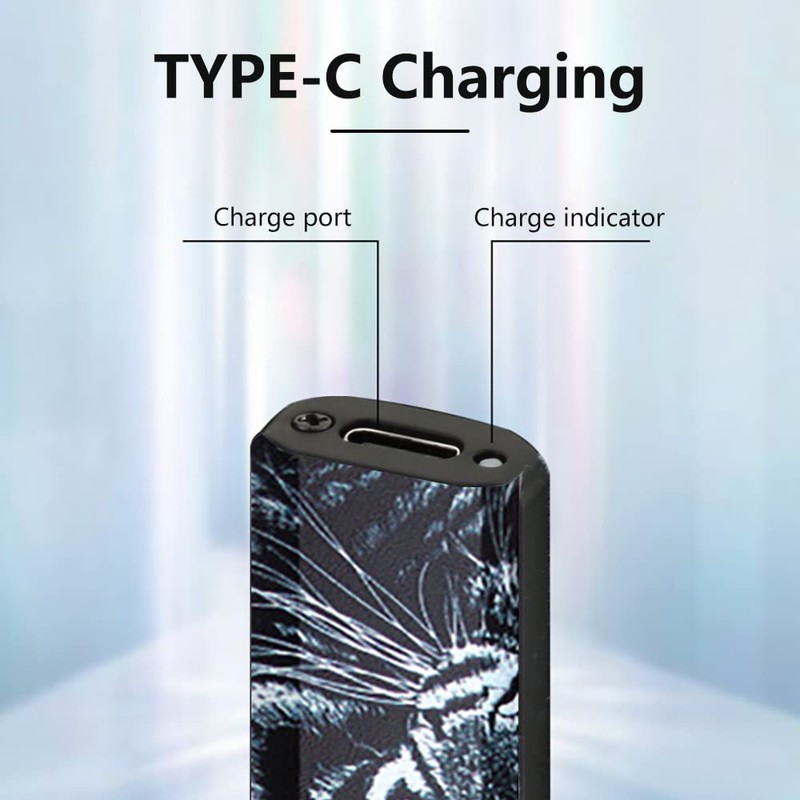 SKRFIRE Electric Lighter Rechargeable Mini Lighter Tungsten Lighter Touch Switch