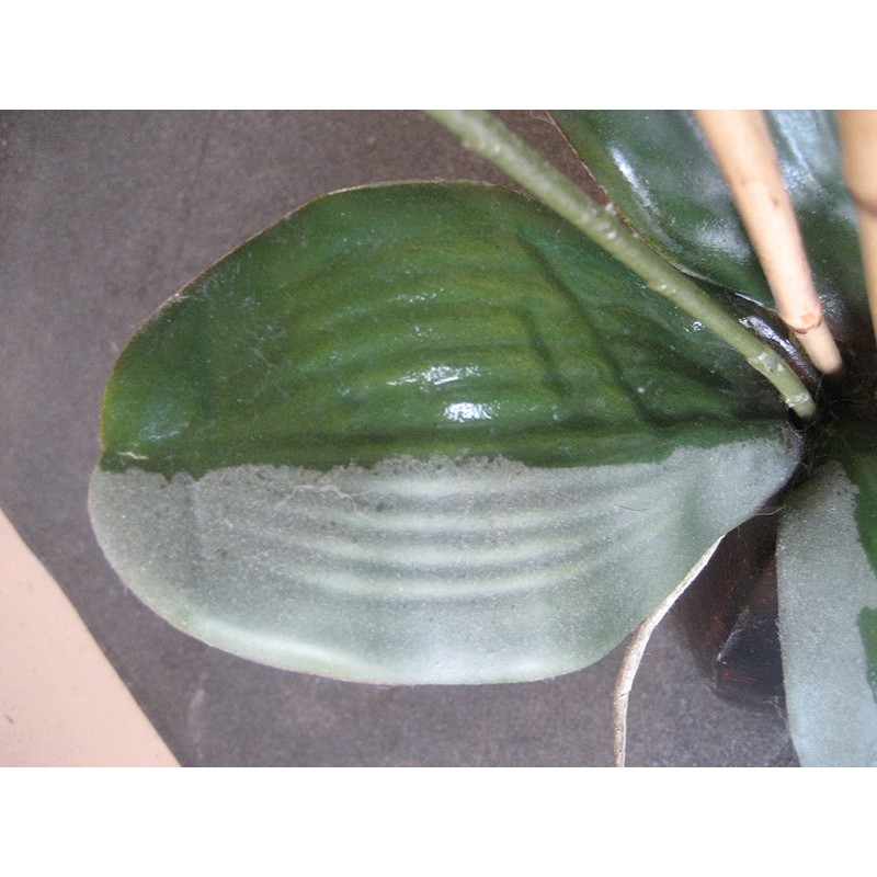 SCREEN MAGIC Silk Plant Magic Cleaner 1 Gallon Refill