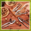 Therwen 50 Pack Nut Crackers Bulk Heavy Duty Nut Seafood