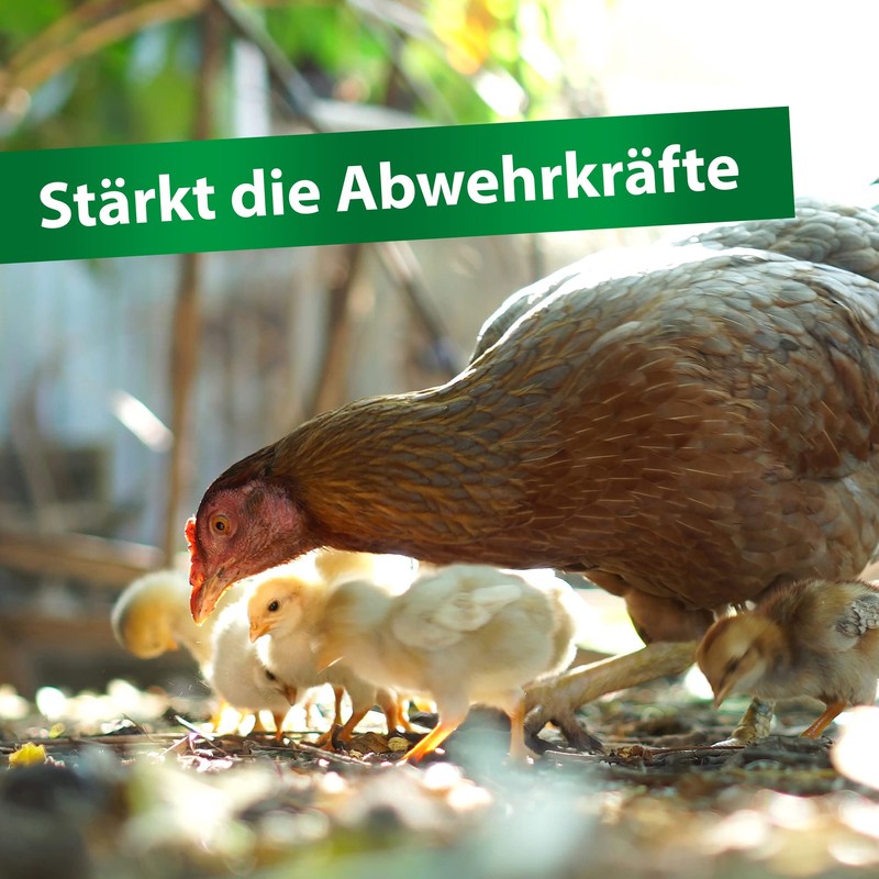 Rohnfried Vitamin AD3EC 250ml (improves fertility). Pigeons and Birds