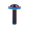 Wanyifa Titanium Bolt M6 10 15 20mm Torx T30 Screws