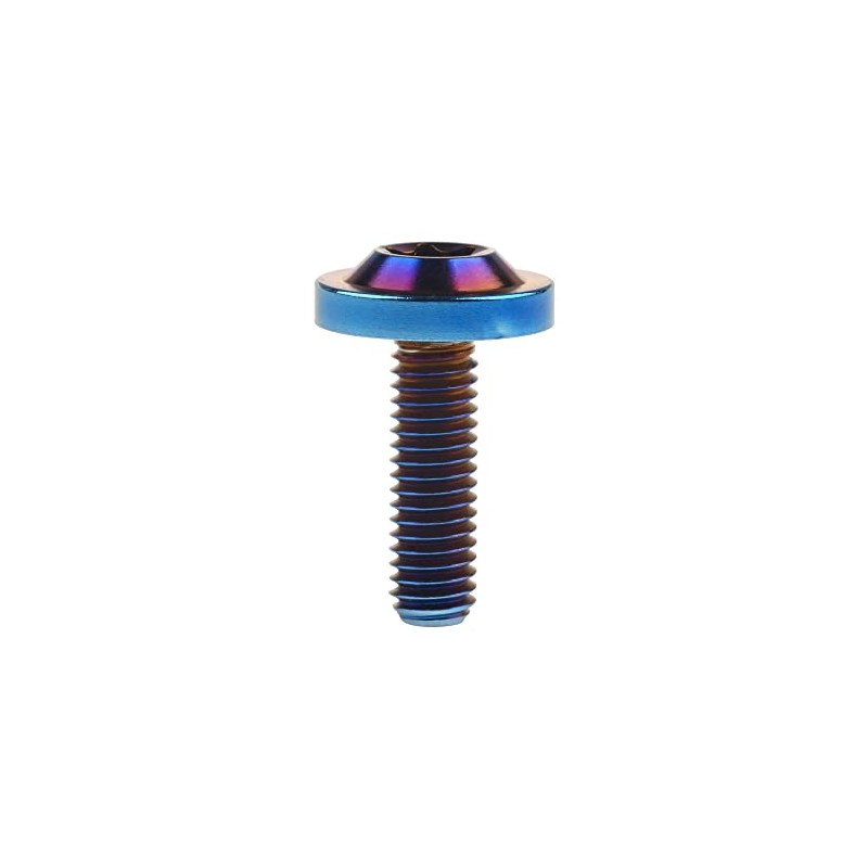 Wanyifa Titanium Bolt M6 10 15 20mm Torx T30 Screws