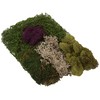 SuperMoss (23310) Moss Mix Preserved, 2oz (110 Cubic Inch)