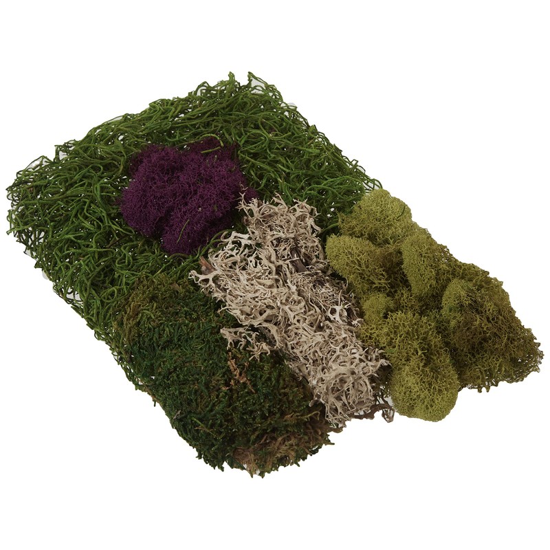 SuperMoss (23310) Moss Mix Preserved, 2oz (110 Cubic Inch)