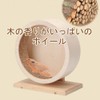 AllBright Hamster Turner, Silent Wheel, Hamster, Small Animal, Pet Supplies,
