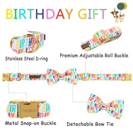 Unqiue Style Paws Birthday Dog Collar, Soft and Cute Dog Bow Tie, Durable Pet Collar with Bow Adjustable Bow Dog Collar for Small Dogs