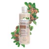 Natessance Ultra-Nourishing Naturel Shea Conditioning Shampoo, 250 ml