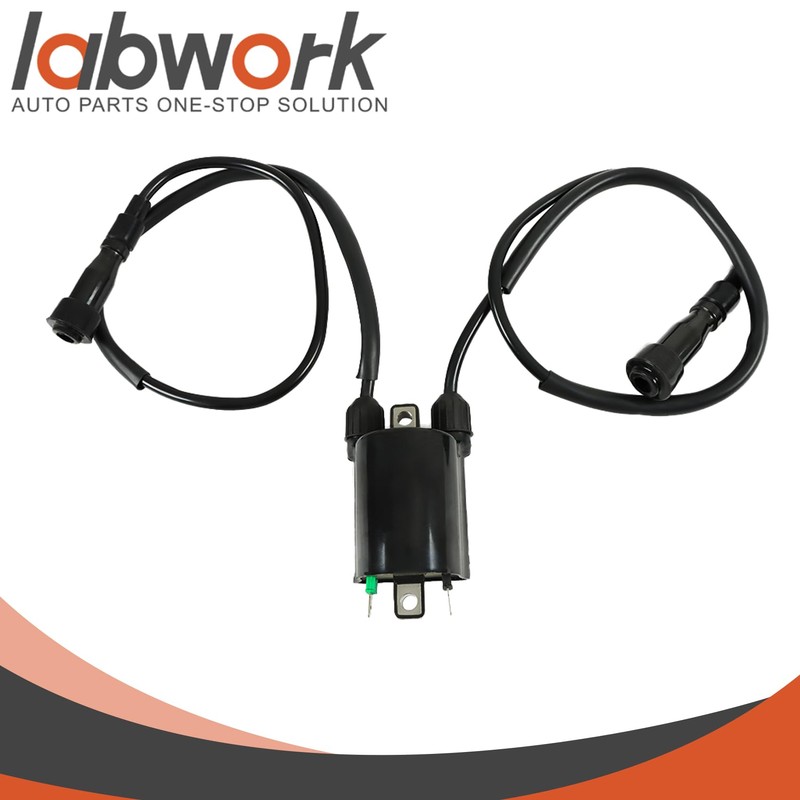 labwork Ignition Coil and Spark Plug Cap Replacement for Honda