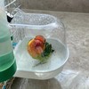 OKONOS Transparent Bird Bath Tub Splash-Proof Cage Hanging Bathing Box