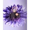 Afnan Supremacy Purple Eau De Parfum for Women, 3.4 Fl.