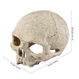 Primate Skull Cave Habitat Hide for Reptile and Amphibians – Premium Non-Toxic Decorative Resin for Aquariums & Terrariums. Ideal for Lizards, Snakes, Geckos, Frogs, Spiders, Scorpions...