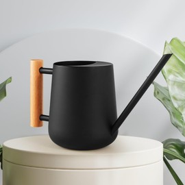 Stainless Steel Watering Can with Long Spout, 34 oz Bonsai Watering Can with Wood Handle for Potted Plants, Black Matte Finish