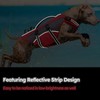 CITÉTOILE Dog Life Jacket with Handle and Reflective, Adjustable Life