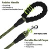 Long Dog Leash 15 FT: Heavy Duty Nylon Rope Leashes