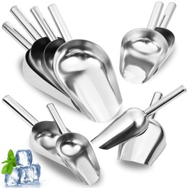 3 + 6 + 9 + 12 + 16 OZ Ounce Stainless Steel Ice Scoop Set of 10, Food-Grade, Multiple Sizes Metal Food Scoop, Rust-proof Candy Ice Cube Scoop for Kitchen Party Wedding Popcorn Dog Food Potted Plants