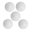 5pcs Golf Sports Training Balls 2 Color Golf Putting Practice