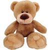 Anico 13" Pick-A-Pet Plush Bear