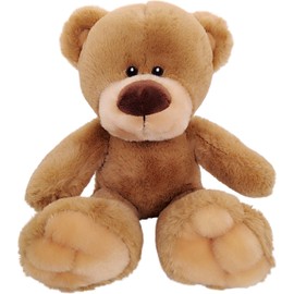 Anico 13" Pick-A-Pet Plush Bear