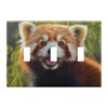 Hezely Red Panda Toggle Light Switch Wall Plate Cover, Electrical