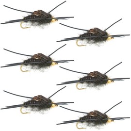 The Fly Fishing Place Tungsten Bead Head Nymph Fly Fishing Flies - Kaufmann's Black Stone Fly with Rubber Legs - Stonefly Wet Fly - 6 Flies Hook Size 10