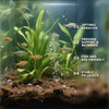 Doter Aquatic Plant Soil for Lotus & Pond Plants/Aquaquarium Substrate