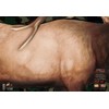 Elk Target 2-Sided Paper Range Targets (3pack) 27" x 39"
