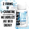 Giant Edge Performance C 1000 - Carnitina 1000 mg -