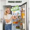 FLAWNT Refrigerator Deodorizer - Long Lasting Fridge Odor Eliminator and