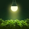 Briignite LED Grow Light Bulbs, Full Spectrum, Plant Light Bulbs