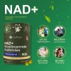 Gwynne Nad+ Nicotinamida Ribosida Liposomal Con Resveratrol Y Quercetina Suplementos