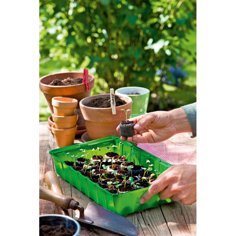 Growing Greenhouse M Plus 36 x 22 x 13 cm