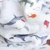 Little Unicorn – Shark Cotton Muslin Swaddle Blanket | Single