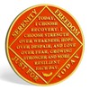 deDecoml Sobriety Token Phoenix Flower Fairy Design with Inspirational Prayer（2