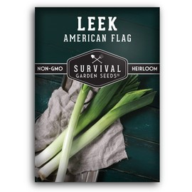 Survival Garden Seeds - Large American Flag Leek Seed for Planting - 1 Pack with Instructions to Plant and Grow Flat Leaved Blue Green Alliums in Your Home Vegetable Garden - Non-GMO Heirloom Variety